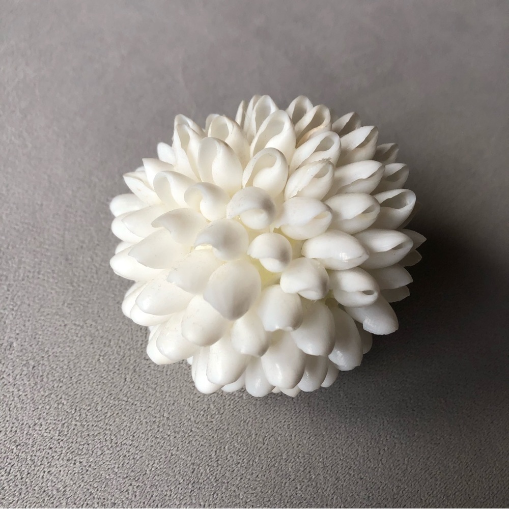 Seashell Decor ~ White ~ 3.5” - Picture 7 of 7